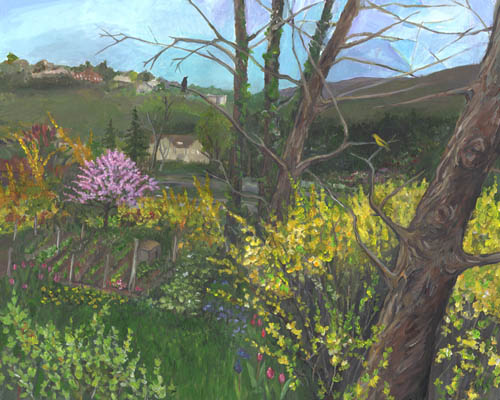 1a backyard in spring sm