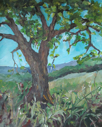 Tree from italy IMG_5508