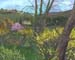 1a backyard in spring sm